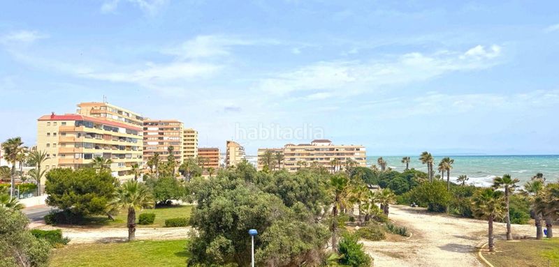 Foto 73a3bf69-3ca5-425d-ab1a-18c3f46bfebb. Pis a Miramar - Torre del Moro Torrevieja
