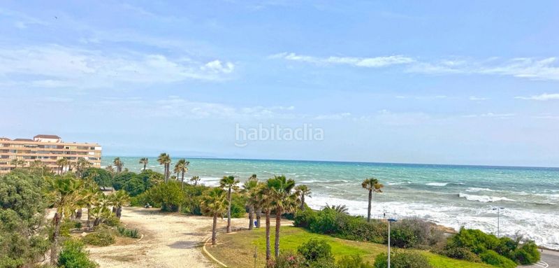 Foto b920ebee-606b-4d08-b186-03a0a084d258. Pis a Miramar - Torre del Moro Torrevieja