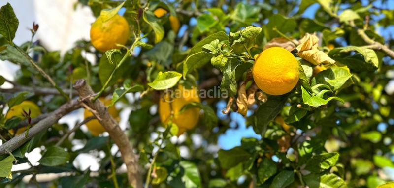 Foto 5186cb62-bf0e-437e-8788-35e720a9e7e4. Casa con piscina in Villamartín-Las Filipinas Orihuela