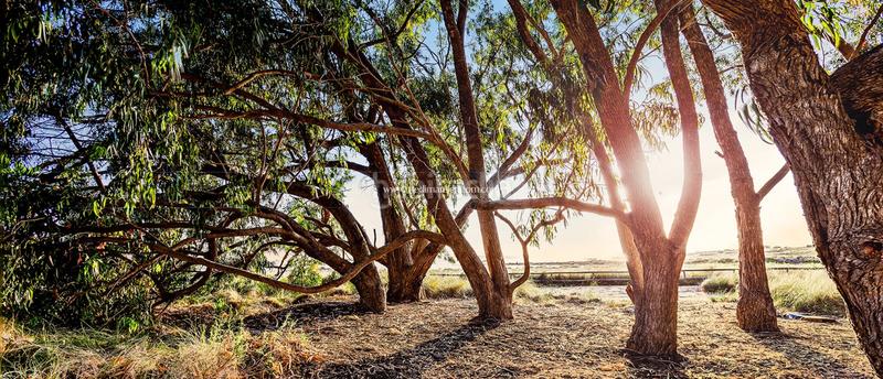 Foto 14b84a69-3dd2-49b9-b7ce-a8e4bc8bcabe. Pis amb calefacció aparcament piscina a Rojales