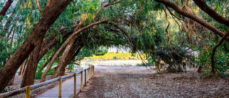 Foto 1cda3558-f41c-4e75-9bb8-d82586654cf9. Pis amb calefacció aparcament piscina a Rojales