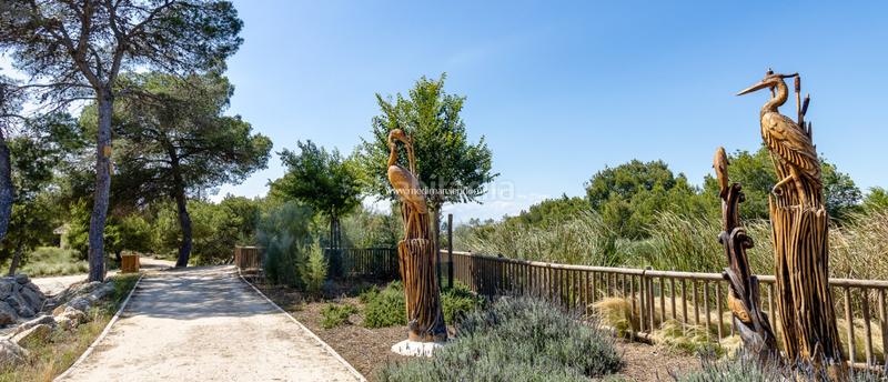 Foto 2407d73f-1e6b-4d1a-9444-7bf7587d1271. Pis amb calefacció aparcament piscina a Rojales