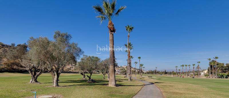 Foto 25677317-ada0-4bc9-9396-851bcb31313d. Pis amb calefacció aparcament piscina a Rojales