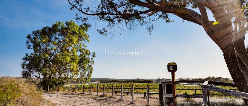 Foto 29bc14b8-b5a2-4183-86b5-69c70bad637b. Pis amb calefacció aparcament piscina a Rojales