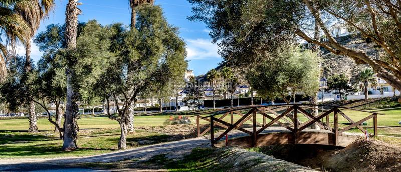 Foto 3bfc67f6-89b0-482b-a4fc-e87ea065c15e. Pis amb calefacció aparcament piscina a Rojales