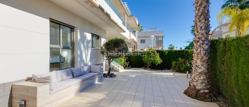 Foto 46b39ffb-1399-4bc7-8599-ea506d9a3830. Pis amb calefacció aparcament piscina a Rojales