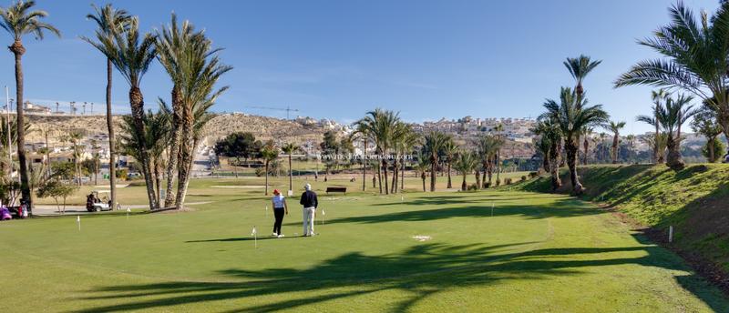 Foto 5def98fb-8a90-44b2-a589-af554bcff16a. Pis amb calefacció aparcament piscina a Rojales