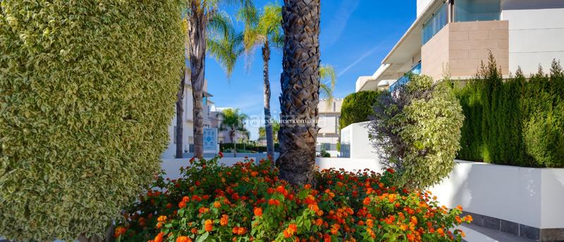 Foto 6bd67e73-b32a-4ed8-a095-e284e1bf5ad1. Pis amb calefacció aparcament piscina a Rojales