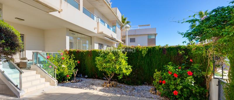 Foto 9781d79d-6da0-4542-943e-faa86134d45f. Pis amb calefacció aparcament piscina a Rojales