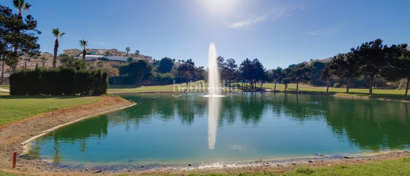 Foto 9d3d6c2b-0e25-4783-9552-4f8b59df5dd8. Pis amb calefacció aparcament piscina a Rojales
