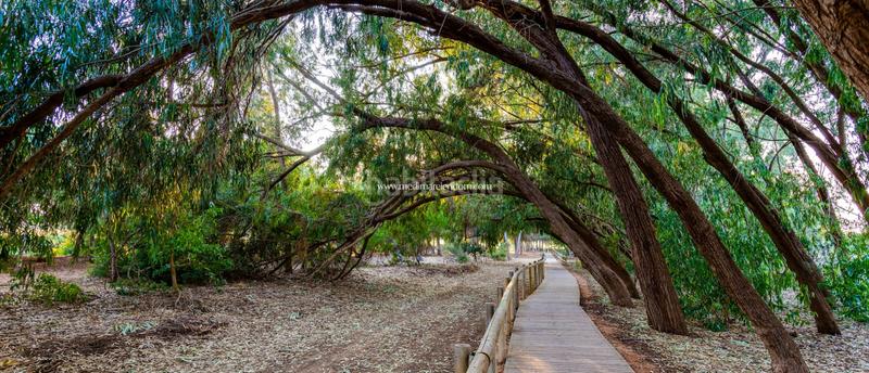 Foto a625e000-e76f-4b0f-9f92-136c25017769. Pis amb calefacció aparcament piscina a Rojales