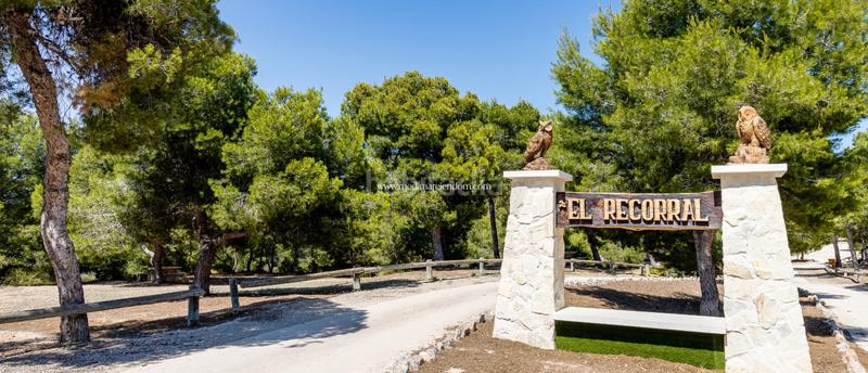 Foto b2e44e64-c7f9-4e29-8357-7fca21219320. Pis amb calefacció aparcament piscina a Rojales