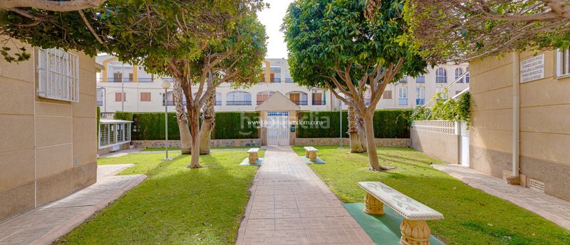 Foto 01da5049-ea94-4638-87fe-97dc68a0180f. Pis amb calefacció aparcament piscina a Avenida Habaneras - Curva de Palangre Torrevieja