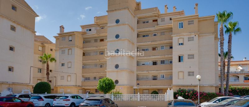 Foto 0fec291f-c127-46b4-b964-74cfb33fef19. Pis amb calefacció aparcament piscina a Avenida Habaneras - Curva de Palangre Torrevieja