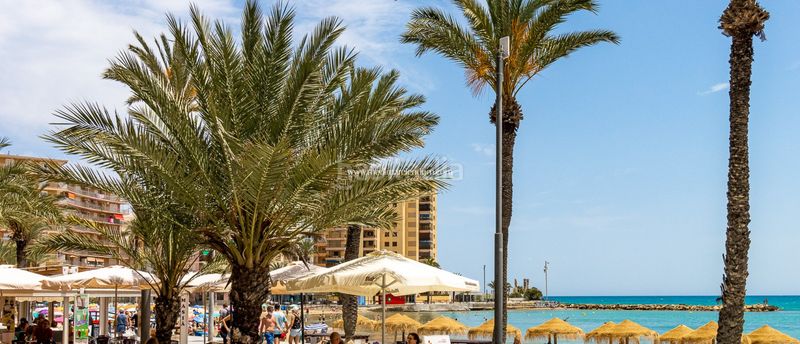 Foto 123772fd-3256-4d2a-8f13-fc5722a1d86c. Pis amb calefacció aparcament piscina a Avenida Habaneras - Curva de Palangre Torrevieja