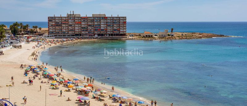 Foto 7e9f3999-a2d1-4322-9a39-d05c08d77298. Pis amb calefacció aparcament piscina a Avenida Habaneras - Curva de Palangre Torrevieja