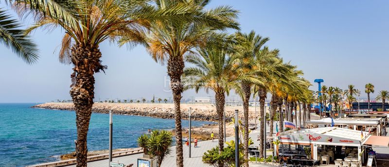 Foto b382a07f-a777-43ca-90f6-e96ba35aabf3. Pis amb calefacció aparcament piscina a Avenida Habaneras - Curva de Palangre Torrevieja