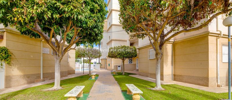 Foto c83104ad-dc51-4aa8-a77e-68553947df7f. Pis amb calefacció aparcament piscina a Avenida Habaneras - Curva de Palangre Torrevieja