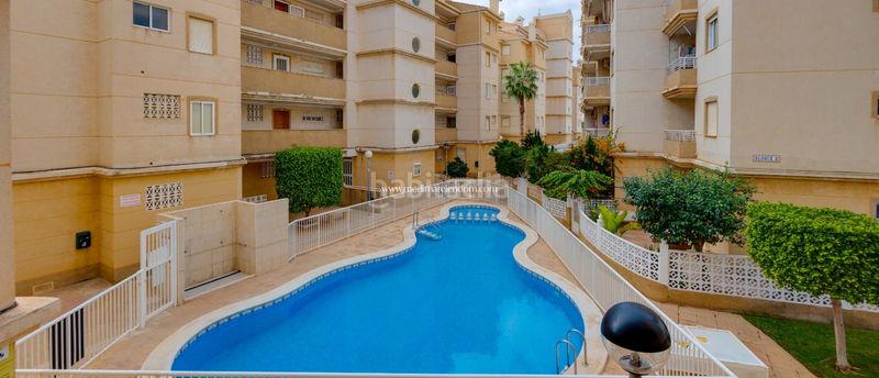 Foto dde2a63c-b9a1-4e4f-8103-8c681ae162df. Pis amb calefacció aparcament piscina a Avenida Habaneras - Curva de Palangre Torrevieja