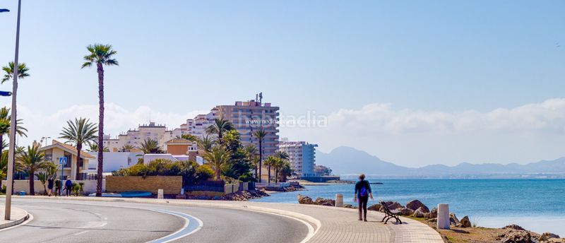 Foto 72f1ec2b-c399-48b3-b076-25fd09945876. Dúplex amb calefacció aparcament piscina a Veneziola Manga del Mar Menor (La)
