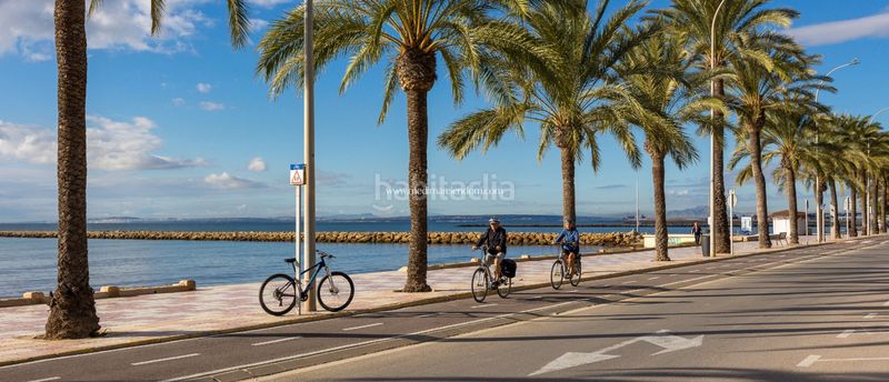 Foto 50b42f11-3253-461c-848c-87b78a8f7736. Apartment with heating parking pool in Gran Playa Santa Pola