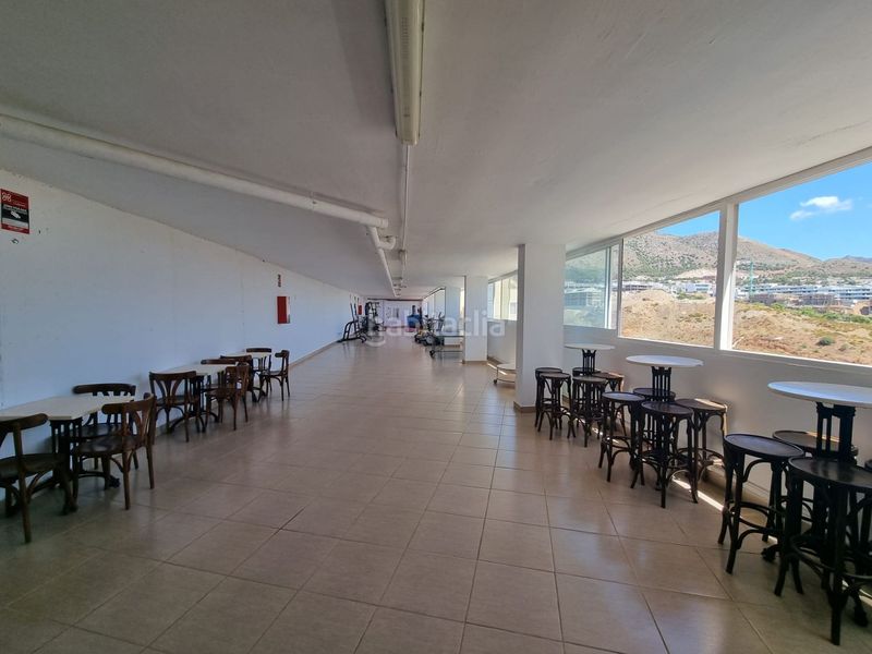 Foto 402cdfab-8b31-45b5-b965-e0d1aa6b6772. Pis a perdices 4 a Torreblanca del Sol Fuengirola
