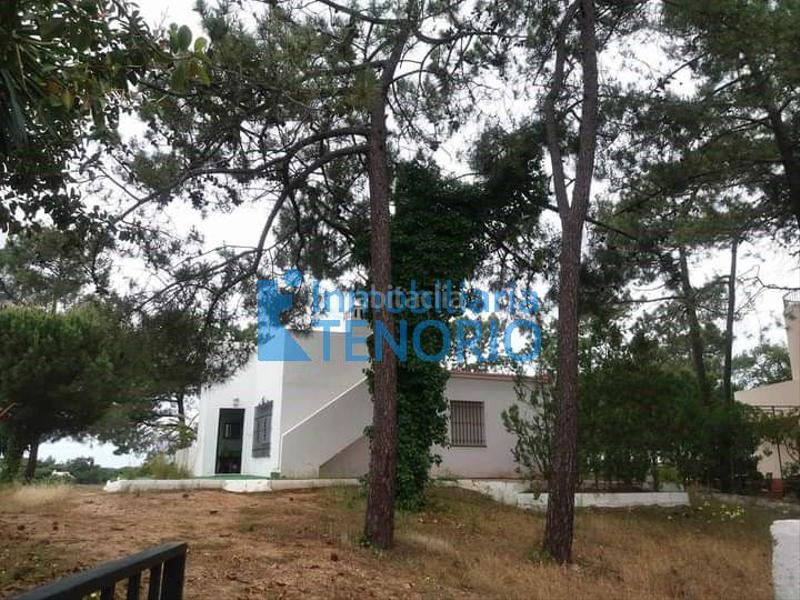 Foto 21184dfb-7b9c-40c0-9ede-2c3adbfdc0f3. Xalet a Lepe