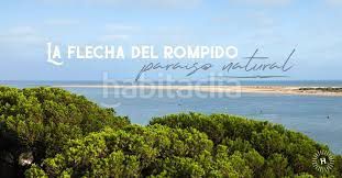 Foto 0be0ef17-8c28-4bb1-bcd0-1cb0742b5571. Xalet amb aparcament a El Rompido