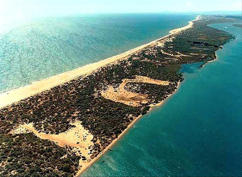 Foto 3128911a-f98f-4c7e-883a-67ad452f5751. Xalet amb aparcament a El Rompido