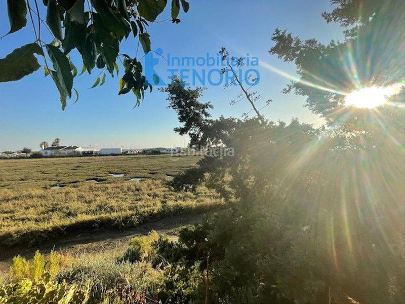 Foto 41354027-45d5-4cbe-8eb3-15a9fbf16b62. Xalet amb aparcament a El Rompido