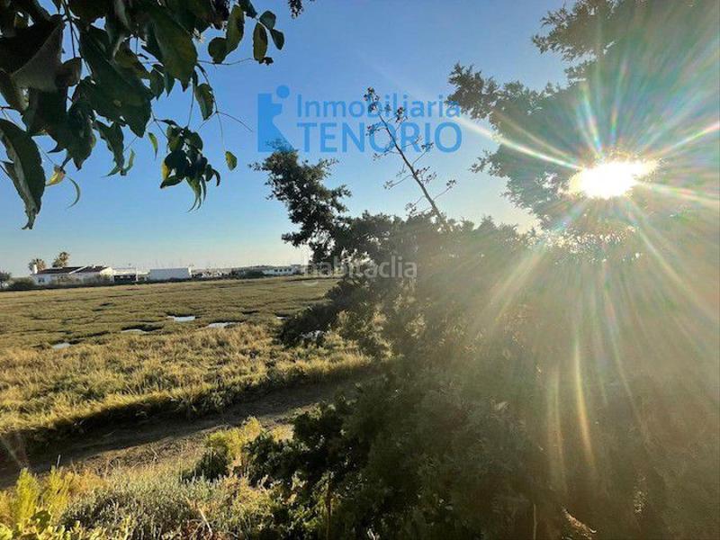 Foto 488f269c-ea57-4f9f-93d3-1d8c79436cc2. Xalet amb aparcament a El Rompido