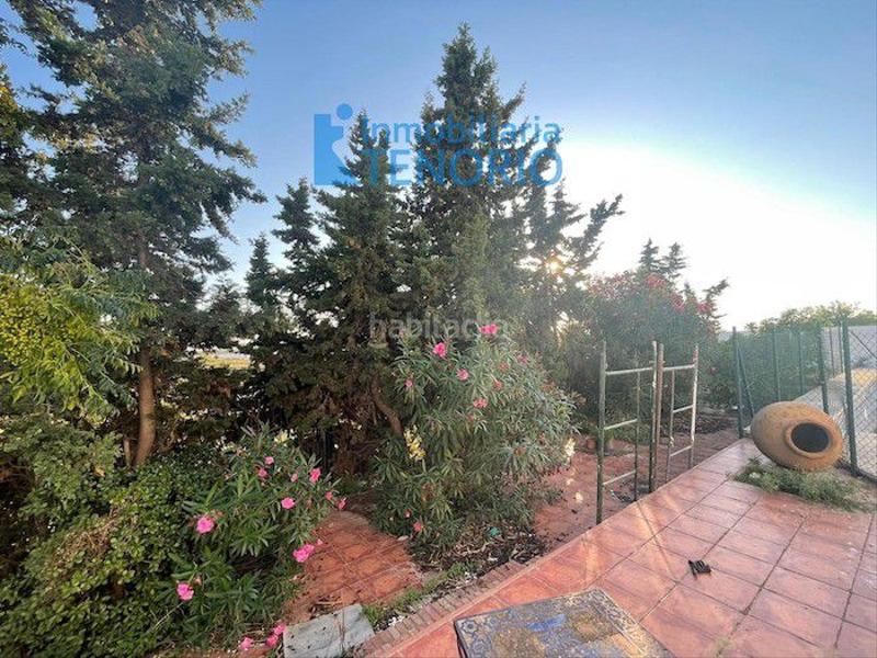 Foto 741d252f-fc43-4515-9882-d8ea3f3fdfb7. Xalet amb aparcament a El Rompido