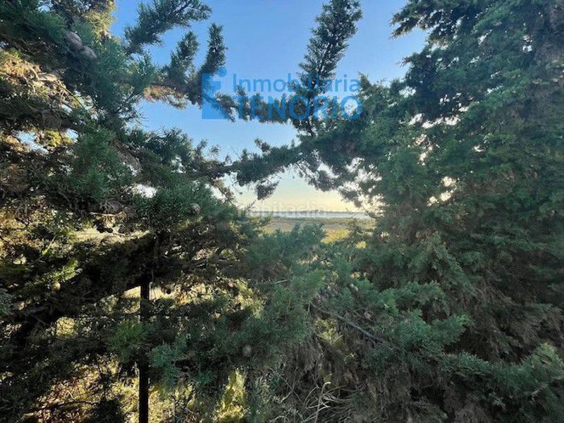 Foto b232f1e9-2eb2-4c7b-ac73-dfadb4bdfb18. Xalet amb aparcament a El Rompido