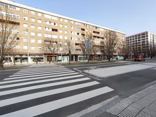 Pis  Pio xii