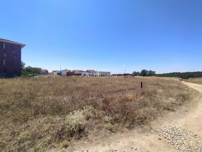 Foto 7c652170-c838-49e5-9bea-2490c985109a. Finca rústica a Valencia de Don Juan