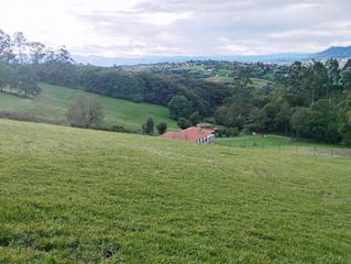 Terreny residencial a Pando - san cipriano de pando. En venta!!! finca edificable en san cipriano de pando. a 10 minu