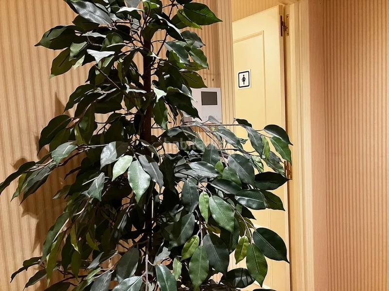 Foto 0c8efc6b-16b7-4d11-a5ec-134d7e812825. Rent office space in Parque San Francisco - Uría Oviedo