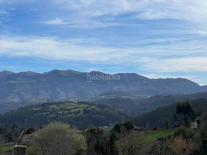 Foto a0e1f14c-9331-4cf9-bf2e-0f9987471a70. Terreny residencial a Colunga