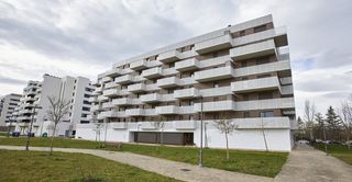 Pis  Olarizu hiribidea