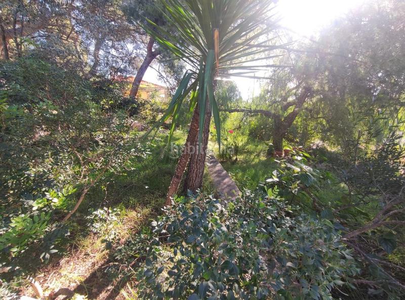 Foto 10e7f695-ee48-4f79-b63c-98f706e1ca4f. Haus in La Renegà-Torre Bellver-Les Platgetes Oropesa del Mar