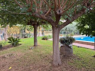 Haus  Camí del serradal. Villa serradal