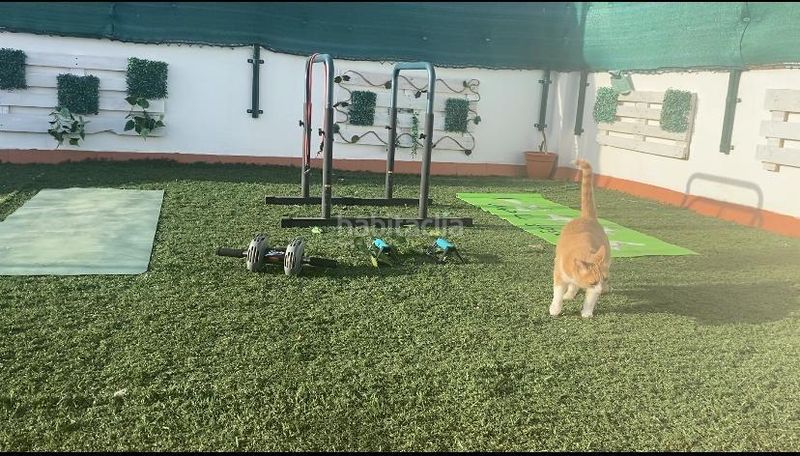 Foto 3dd1b3a8-89dd-4380-9bb6-058a88c79447. Casa a Taraguilla-Estación San Roque