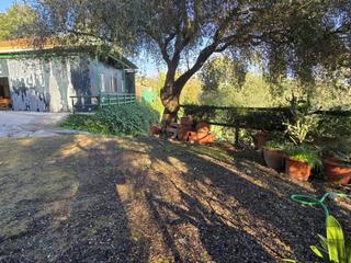 Chalet in Barrios (Los). Se vende casa independiente en benhara