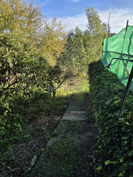 Foto 2fb19ce5-89db-4b13-b3c8-94cd9d929041. Chalet in Barrios (Los)