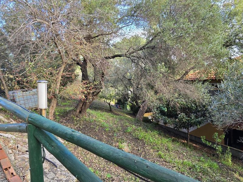 Foto 48b90b07-728d-41c4-b630-8903a68fc71f. Chalet in Barrios (Los)