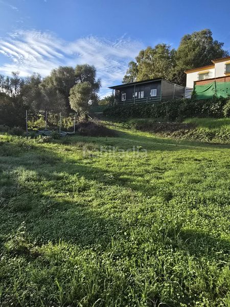 Foto 659d7c84-d827-4da3-a761-591df753c7c9. Xalet a Barrios (Los)