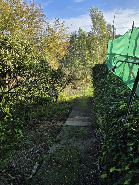 Foto 8ace522a-46a9-45e8-a5a5-422a22d808ac. Xalet a Barrios (Los)