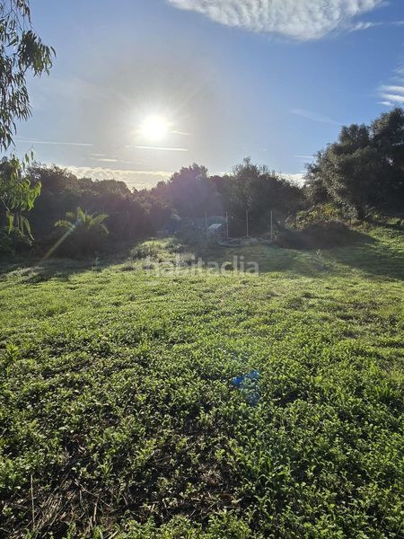 Foto 98dcc2d6-1ced-43f2-839b-0bd7fc50b62f. Xalet a Barrios (Los)