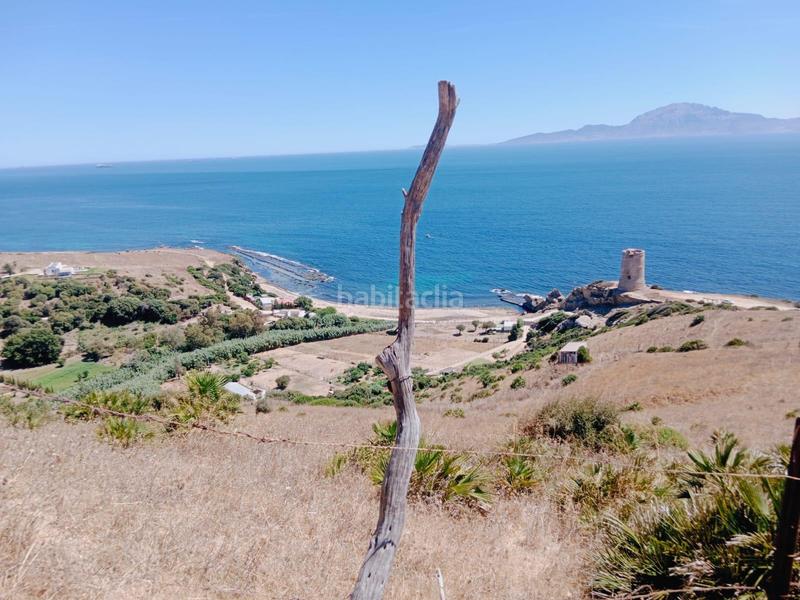 Foto 14181909-0366-42dd-ab73-73b29d66b5bb. Wohngrundstück in Tarifa ciudad Tarifa