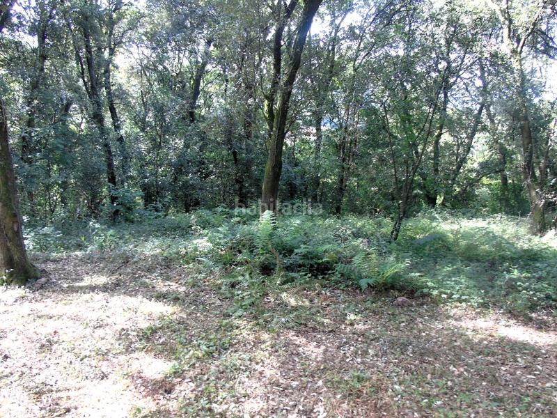 Foto d6625fb3-4c44-49e1-9b41-adbe806c07f4. Terreny residencial a Ribamontán al Monte